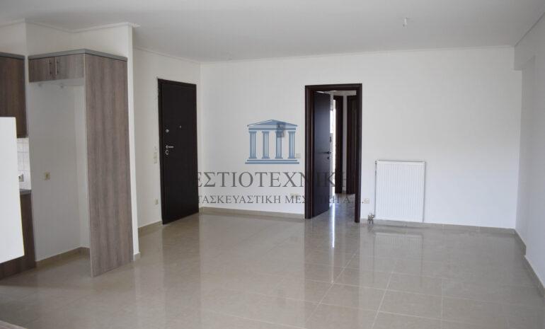 ΣΑΛΟΝΙ
